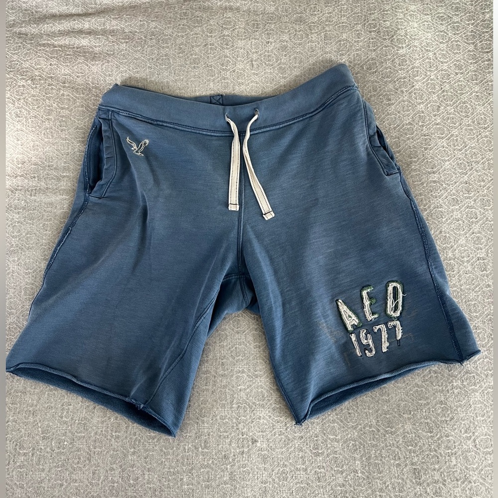 American Eagle Outfitters Men's Athletic Blue Shorts
